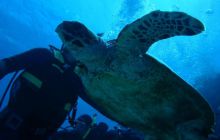 Egipt Hurghada - Kwiecień 2005