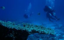 Egipt Hurghada - Kwiecień 2005