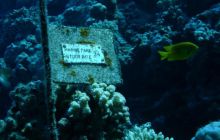 Egipt Hurghada - Kwiecień 2005