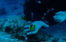 Egipt Hurghada - Kwiecień 2005