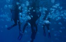 Egipt Hurghada - Kwiecień 2005