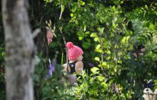 Hańcza - Lipiec 2011