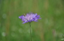 Hańcza - Lipiec 2011