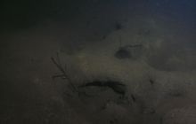 Hańcza - Lipiec 2011