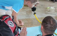 Zajęcia dla dzieci - czerwiec 2011