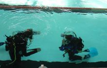 Zajęcia dla dzieci - czerwiec 2011