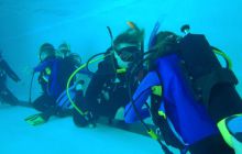 Zajęcia dla dzieci - czerwiec 2011