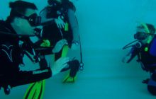 Zajęcia dla dzieci - czerwiec 2011