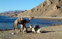 Egipt Sharm - Październik 2005