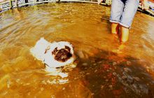 Zdjęcia z Zawodów Nawigacji - wrzesień 2011