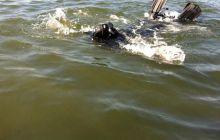 Zdjęcia z Zawodów Nawigacji - wrzesień 2011