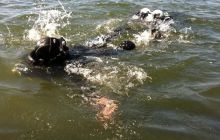 Zdjęcia z Zawodów Nawigacji - wrzesień 2011