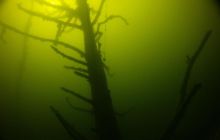 Zdjęcia z Borne Sulinowo wrzesień 2011