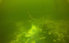 Zdjęcia z Borne Sulinowo wrzesień 2011