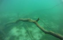 Zdjęcia z jeziora Lobeliowego - wrzesień 2011