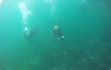 Zdjęcia z jeziora Lobeliowego - wrzesień 2011