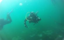 Zdjęcia z jeziora Lobeliowego - wrzesień 2011