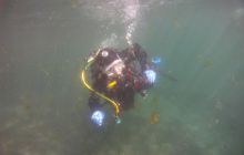 Zdjęcia z jeziora Lobeliowego - wrzesień 2011