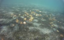 Zdjęcia z jeziora Lobeliowego - wrzesień 2011