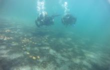 Zdjęcia z jeziora Lobeliowego - wrzesień 2011