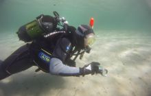 Zdjęcia z jeziora Lobeliowego - wrzesień 2011