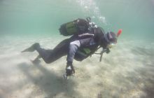 Zdjęcia z jeziora Lobeliowego - wrzesień 2011