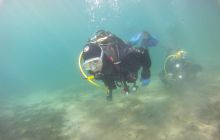 Zdjęcia z jeziora Lobeliowego - wrzesień 2011