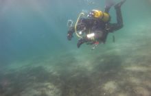 Zdjęcia z jeziora Lobeliowego - wrzesień 2011