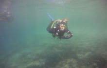 Zdjęcia z jeziora Lobeliowego - wrzesień 2011