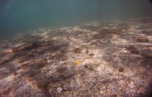 Zdjęcia z jeziora Lobeliowego - wrzesień 2011