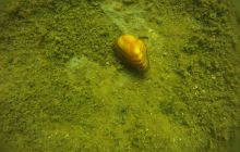 Zdjęcia z jeziora Zmarłe - wrzesień 2011