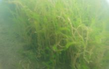 Zdjęcia z jeziora Zmarłe - wrzesień 2011