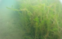 Zdjęcia z jeziora Zmarłe - wrzesień 2011