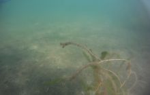 Zdjęcia z jeziora Zmarłe - wrzesień 2011