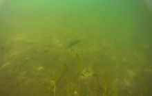 Zdjęcia z jeziora Zmarłe - wrzesień 2011