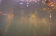 Zdjęcia z jeziora Zmarłe - wrzesień 2011