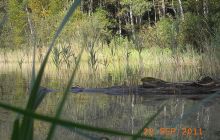 Zdjęcia z jeziora Zmarłe - wrzesień 2011