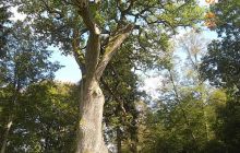 Zdjęcia z jeziora Zmarłe - wrzesień 2011