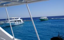 Zdjęcia z Safagi - paźdzernik 2011