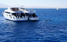 Zdjęcia z Safagi - paźdzernik 2011