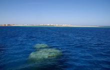 Zdjęcia z Safagi - paźdzernik 2011