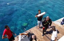 Zdjęcia z Safagi - paźdzernik 2011