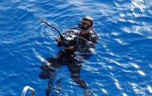 Zdjęcia z Safagi - paźdzernik 2011