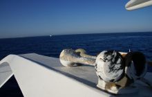 Zdjęcia z Safagi - paźdzernik 2011