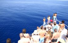 Zdjęcia z Safagi - paźdzernik 2011