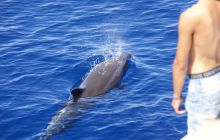 Zdjęcia z Safagi - paźdzernik 2011