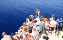 Zdjęcia z Safagi - paźdzernik 2011