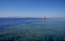 Zdjęcia z Safagi - paźdzernik 2011