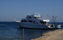 Zdjęcia z Safagi - paźdzernik 2011