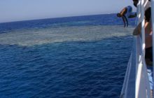 Zdjęcia z Safagi - paźdzernik 2011